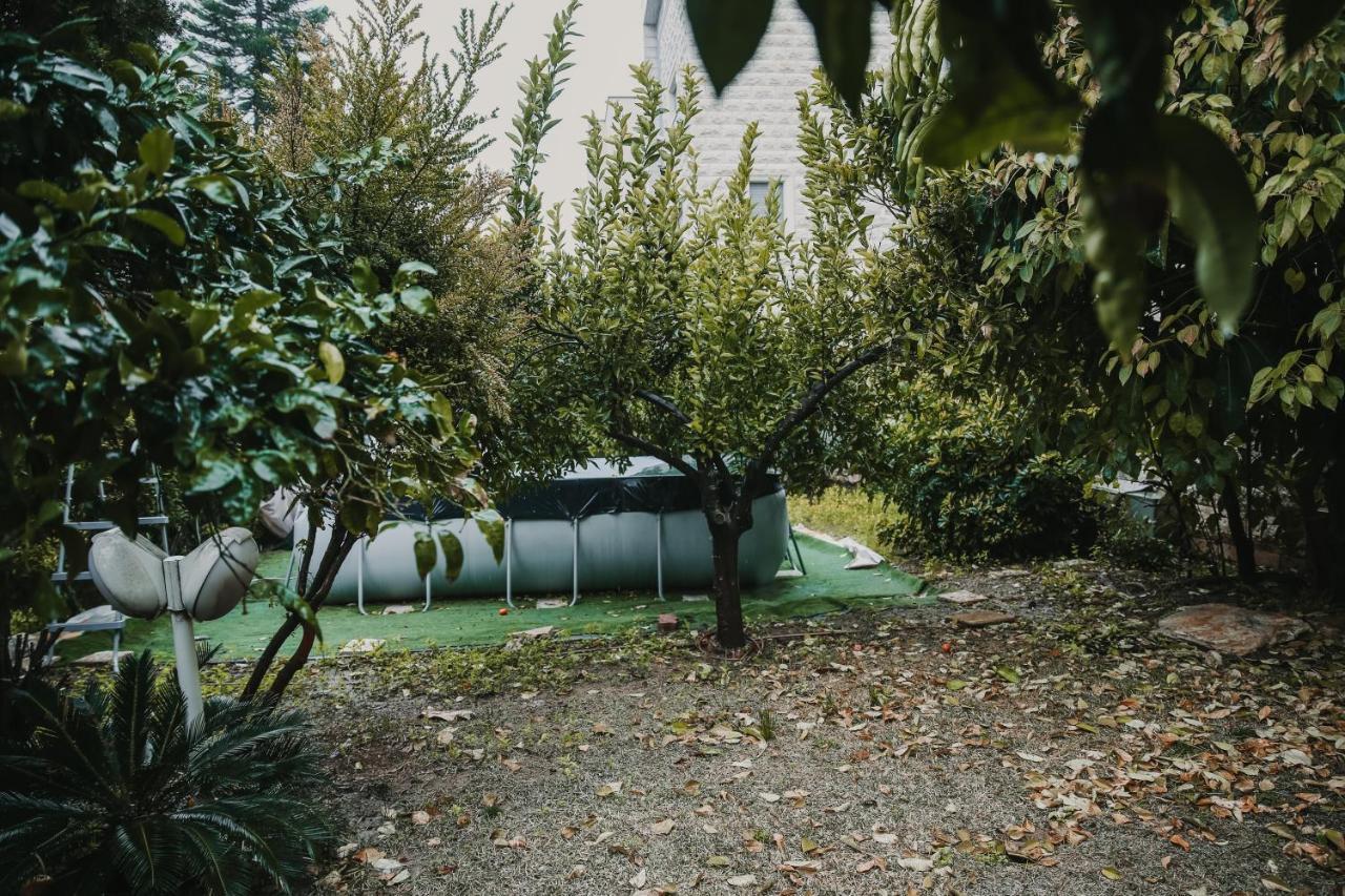The Garden Apartment Nazareth Buitenkant foto
